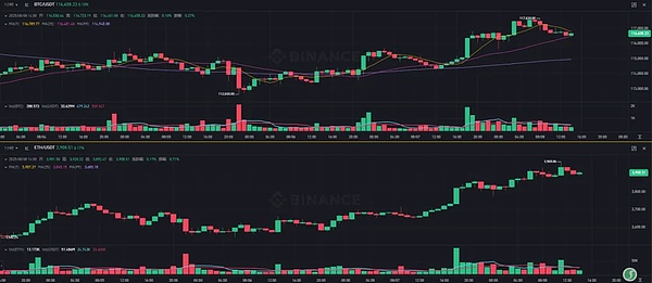 熊市中的惊喜发现：Doubler项目为何让我眼前一亮