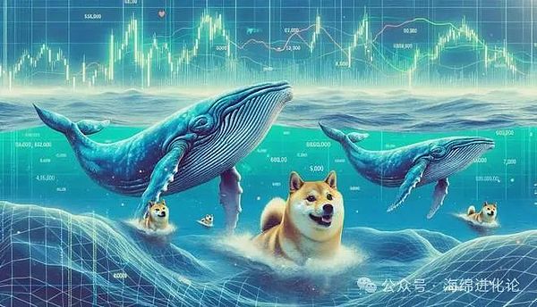 从网络段子到投资新宠：Meme币的华丽转身与元宇宙野心
