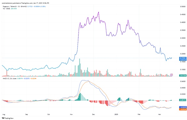 为何顶级区块链项目纷纷拥抱Polkadot技术？这三点原因令人深思