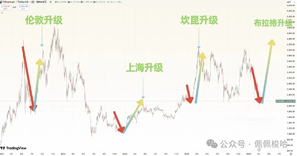 亲历FTX崩盘的48小时：一个职场新人的惊魂日记