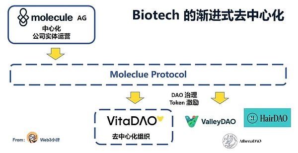 木头姐与英伟达的分手：一场华尔街爱情故事的终结