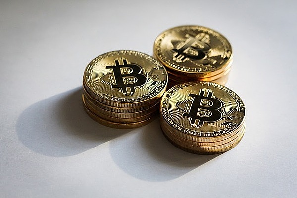 想让你的暴躁鹅成为艺术圈的网红吗？