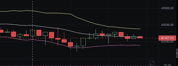 资深投资人忠告：这些山寨币坑太深，新手千万别碰！
