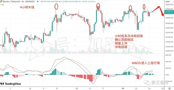 从Nvidia转向UiPath：Cathie Wood的AI投资新棋局