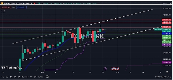 波兰对OpenAI展开GDPR调查：ChatGPT又摊上事了