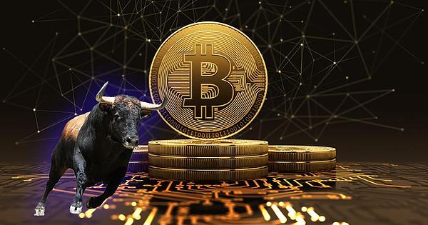 解密Doubler：为什么这个项目能引发投资狂潮？