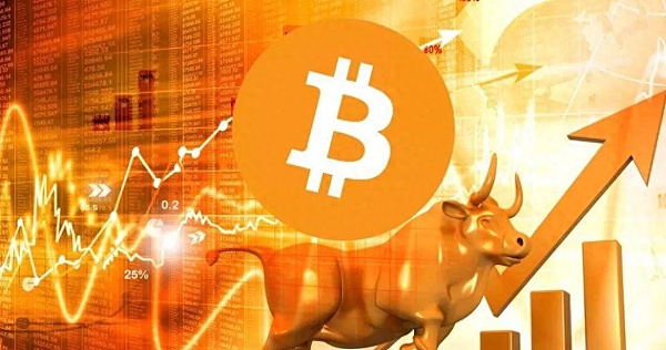 这些热门加密货币是真金还是泡沫？