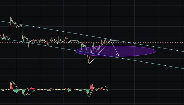 TOKEN2049惊现加密圈奥斯卡派对：3000人挤爆现场背后的秘密